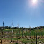 Im Siebengebirge Naehe Koeln/bonn 아파트