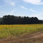 Im Siebengebirge Naehe Koeln/bonn