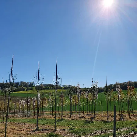 Im Siebengebirge Naehe Koeln/bonn Lejlighed