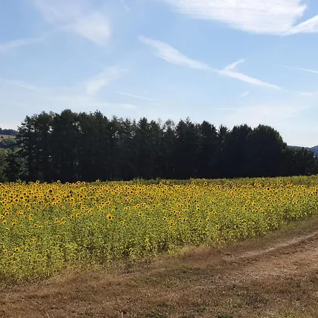 Auszeit Am Siebengebirge