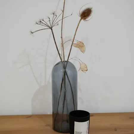 Im Siebengebirge Naehe Koeln/bonn