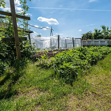 Im Siebengebirge Naehe Koeln/bonn