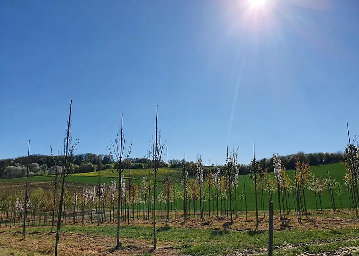 Im Siebengebirge Naehe Koeln/bonn Appartement