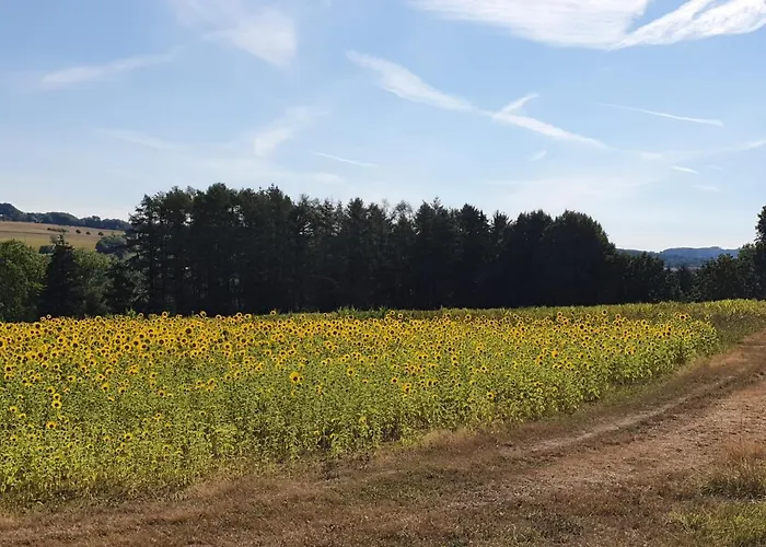 Im Siebengebirge Naehe Koeln/bonn