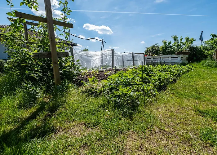 Im Siebengebirge Nähe Köln/bonn